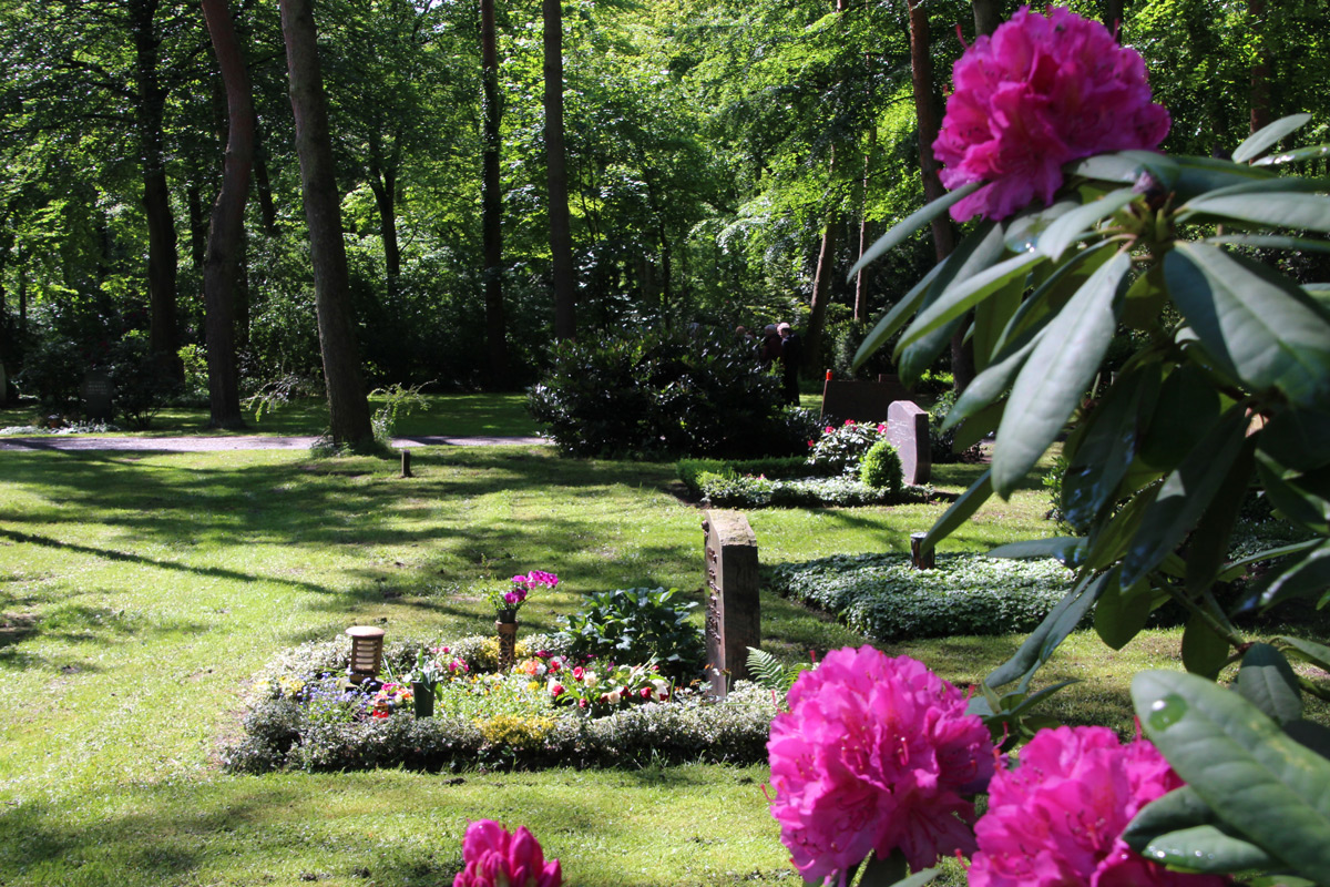 Geführter Spaziergang über den Waldfriedhof Telgte-Lauheide