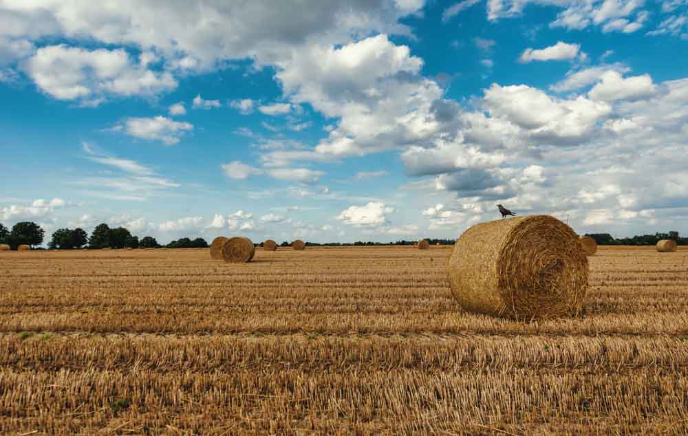 Fotowettbewerb des Rhein-Kreises Neuss