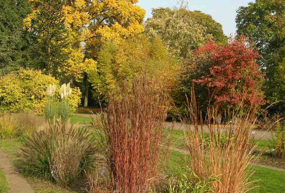 Botanischer Garten in Krefeld