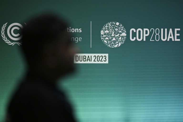 Bundesregierung weist Kritik an Größe der Delegation für Klimagipfel zurück
