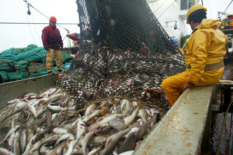 EU-Fischereiminister vereinbaren deutliche Anhebung der Fangquoten in der Nordsee
