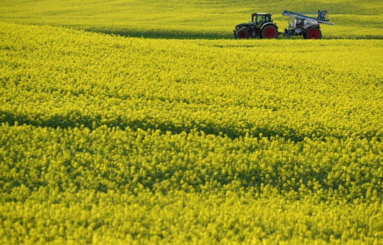 FDP und Özdemir-Ministerium weisen sich gegenseitig Schuld für Agrarkürzung zu