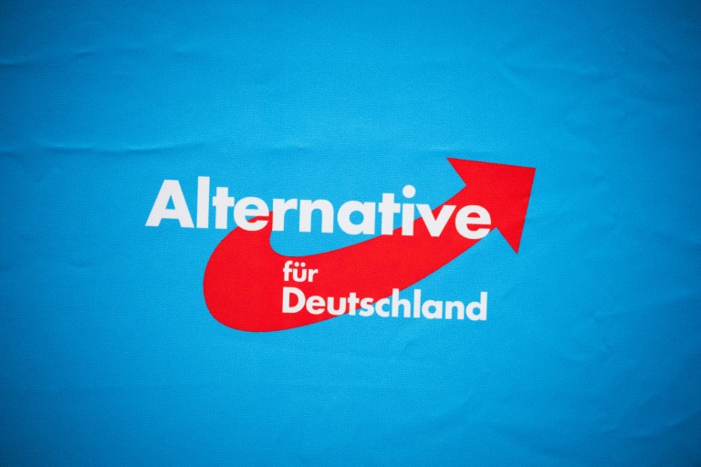 AfD ohne Anspruch auf Platz in parlamentarischem Kontrollgremium in Sachsen-Anhalt