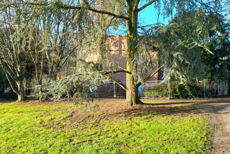 Vandalismus im Schlosspark Borbeck