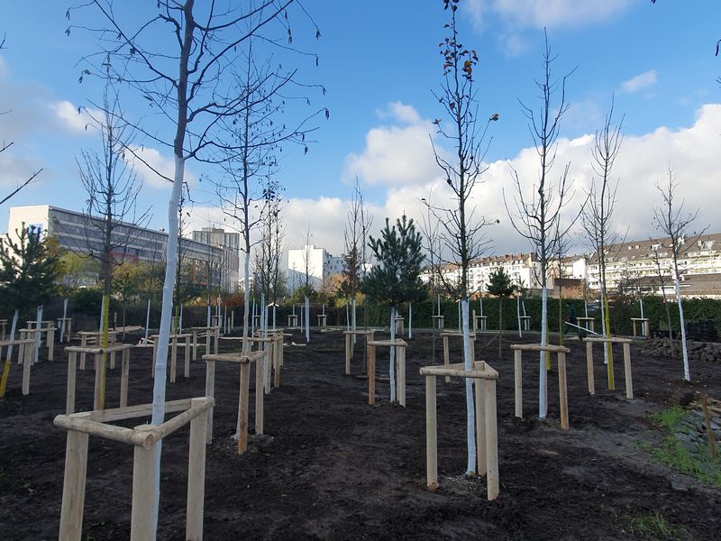 Pflanzarbeiten im Düsseldorfer Pocketpark