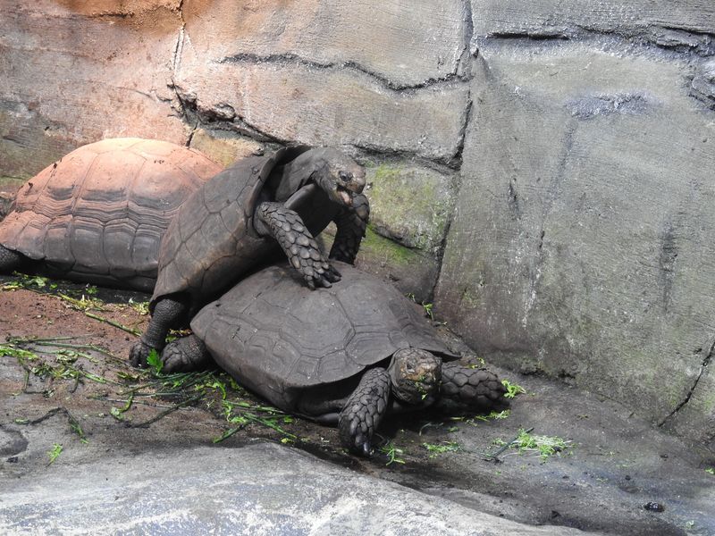 Aquazoo Düsseldorf lädt zur Führung durch die Ausstellung