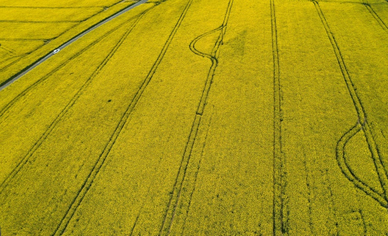 Umweltministerin Lemke offen für Nutzung von Biodiesel für Landwirtschaft