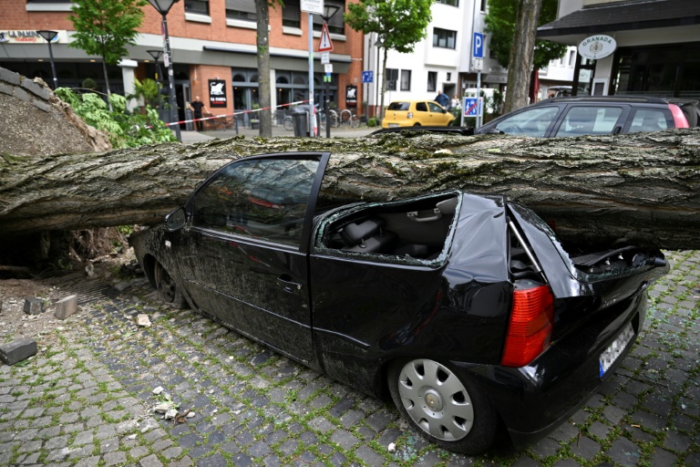 Urteil: Parkhausbetreiber haftet nicht nach Sturmschaden durch Baum an Auto