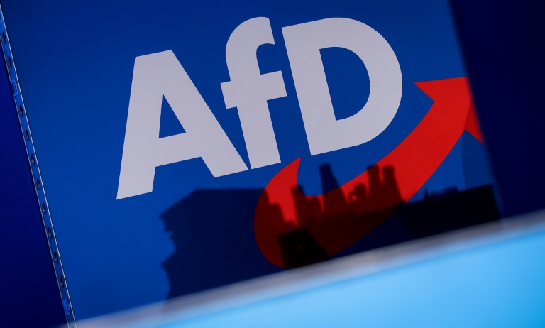 SPD-Politiker Rehlinger und Tschentscher warnen vor AfD-Verbotsverfahren