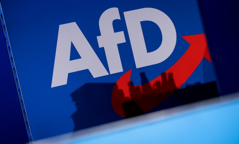 Thierse und Köpping fordern Prüfung von AfD-Verbotsverfahren