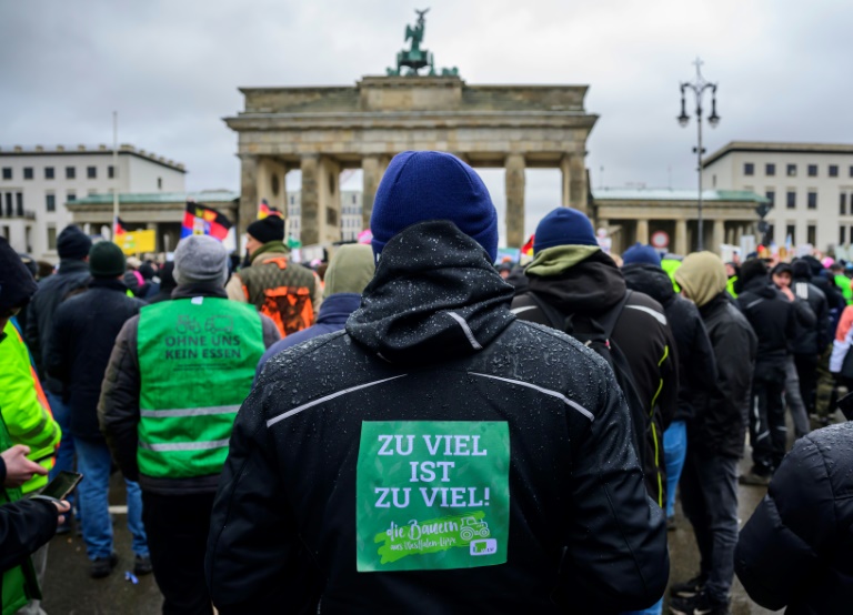 Linke fordert nach Lindner-Rede vor Bauern Rücktritt des Ministers