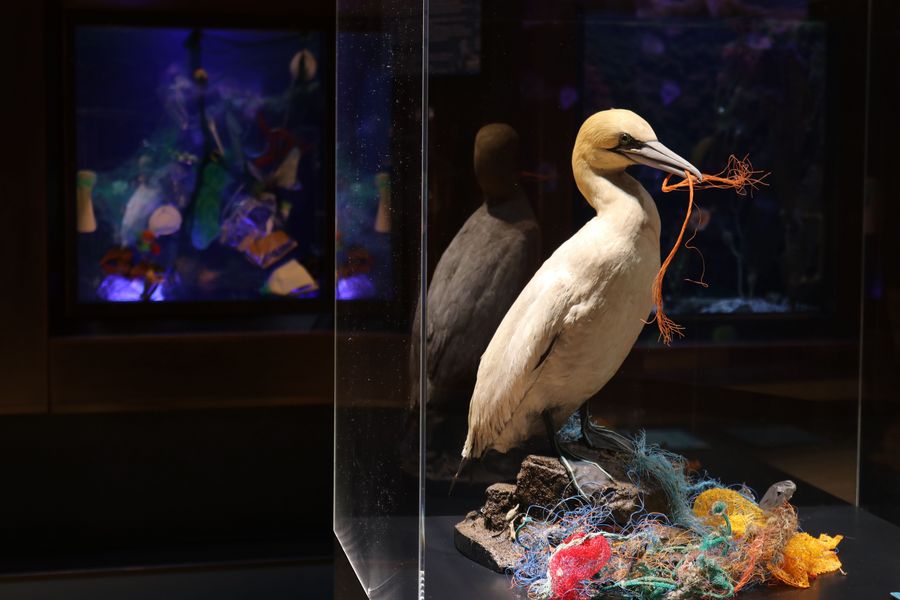 Vortrag von Rodrigo Butori im Aquazoo Düsseldorf