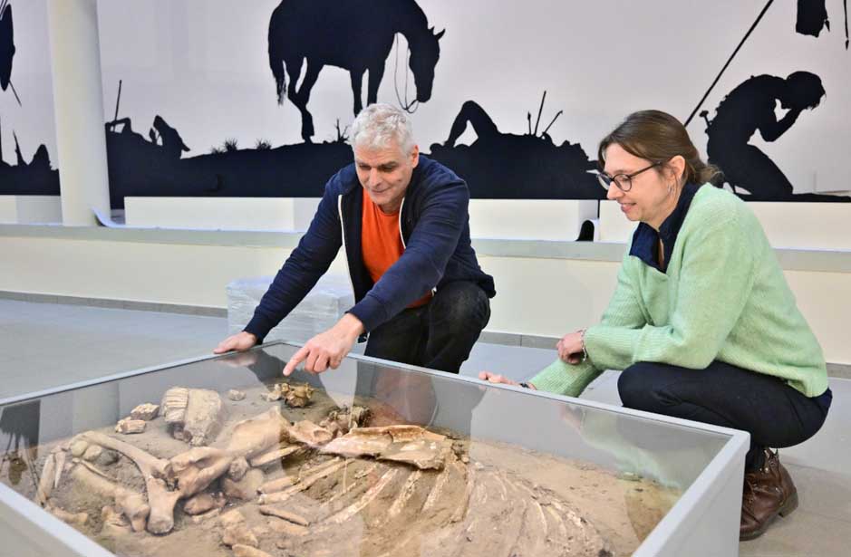 Archäologisches Museum Krefeld: Neue Ausstellung wird vorbereitet