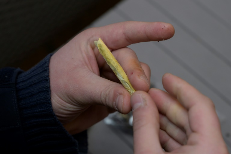 Ärztekammer warnt vor geplanter Legalisierung von Cannabis