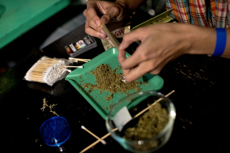 "Ampel" legt Cannabis-Streit bei - Legalisierung soll am 1. April kommen
