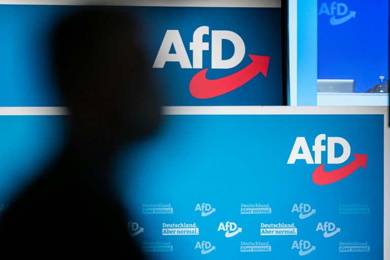 AfD scheitert mit Eilantrag gegen Verfassungsschutzbericht 2022
