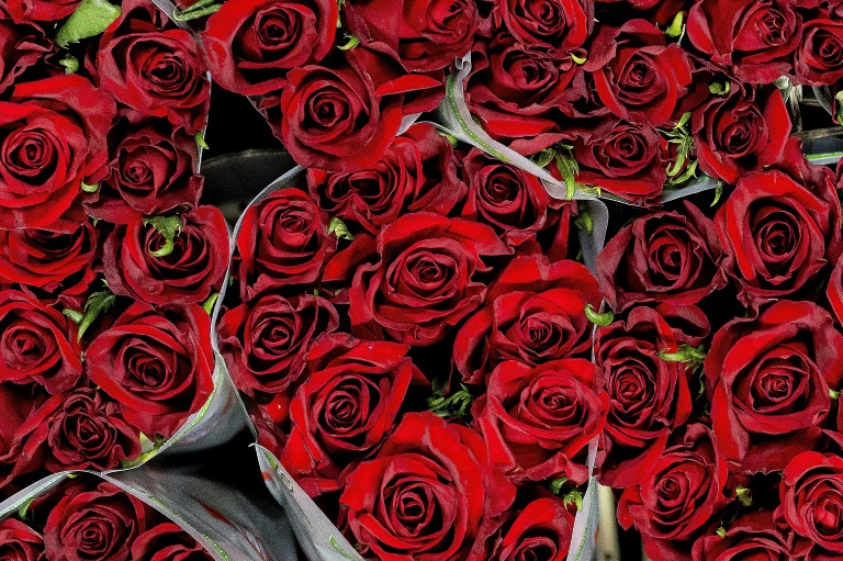 Preise rund um den Valentinstag: Schnittblumen im Februar in der Regel teurer