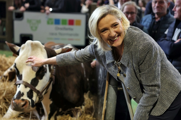 Frankreichs Rechtspopulistin Le Pen lässt sich von AfD-Chefin nicht überzeugen
