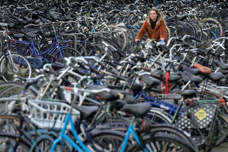 Bande soll Fahrräder in Wert von mehr als halber Million Euro gestohlen haben