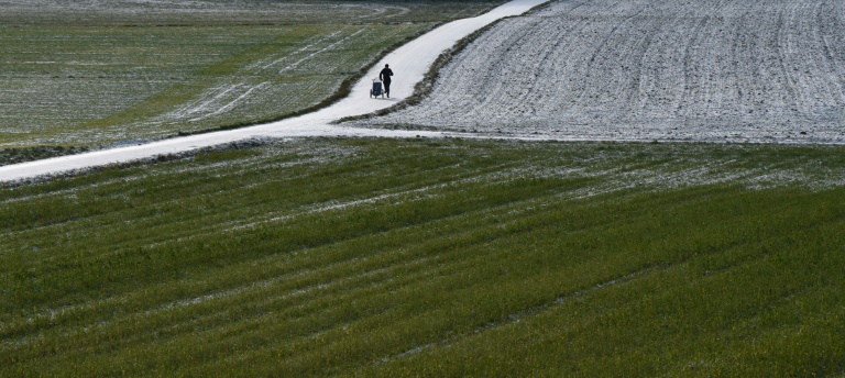 EuGH: Erziehungszeit in anderem EU-Land zählt oft für Erwerbsminderungsrente