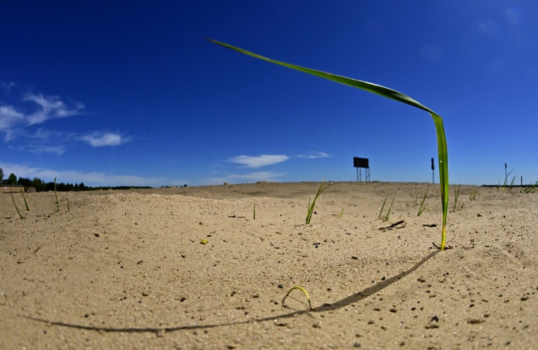 PIK-Studie: Klimawandel könnte auch die Inflation erhöhen