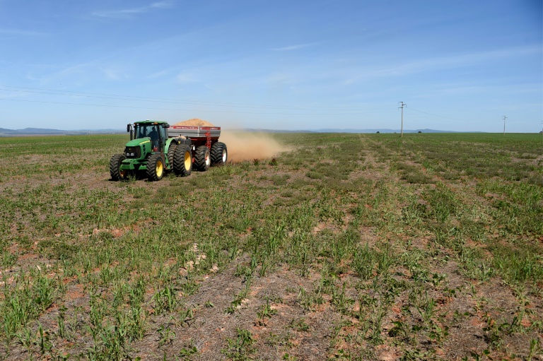 Polen erwartet deutliche Zugeständnisse der EU-Kommission an Landwirte