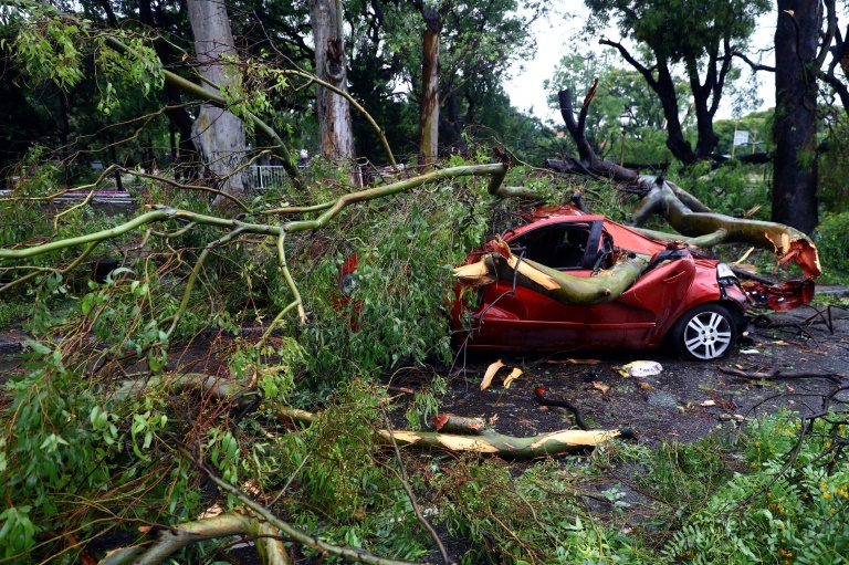 Urteil: Kein Schmerzensgeld von Land nach Verletzung durch Bäume bei Sturm