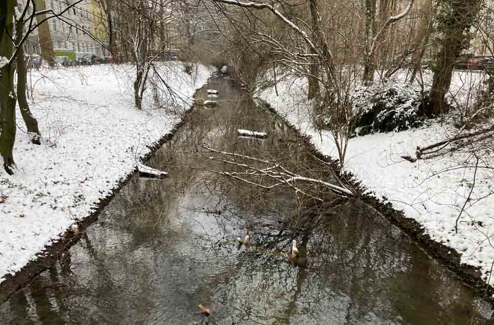 Düsseldorf: Gewässerschau an der Inneren Südlichen Düssel