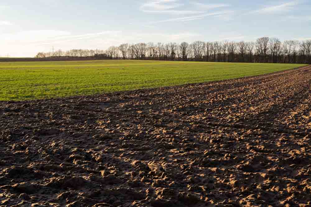 Geologischer Dienst NRW nimmt Geländeuntersuchungen vor