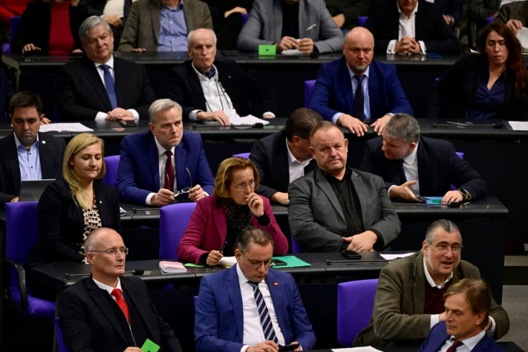 Bundestag debattiert über Verdächtigungen gegen AfD-Politiker