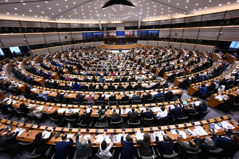 Hofreiter verteidigt von Europaparlament verabschiedete Asylreform