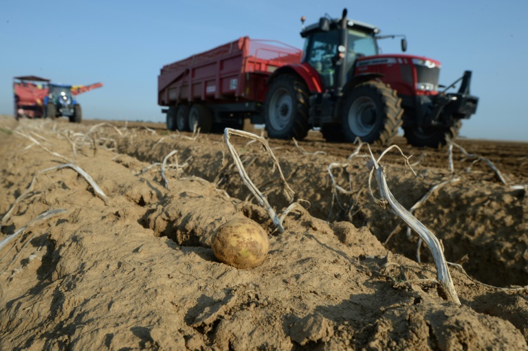 App soll Landwirten beim Pflanzenschutz helfen