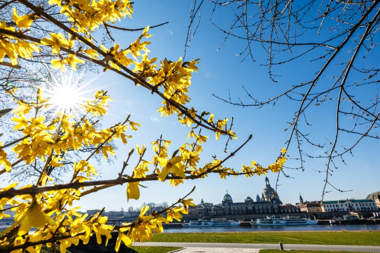 Wetterdienst: Frühling in Deutschland in diesem Jahr so warm wie nie zuvor