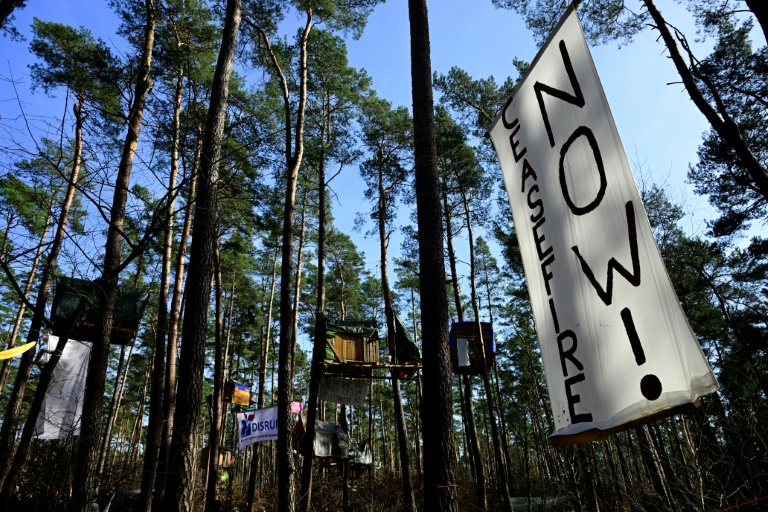 Baumhäuser von Protestcamp nahe Tesla-Werk in Brandenburg dürfen vorerst bleiben