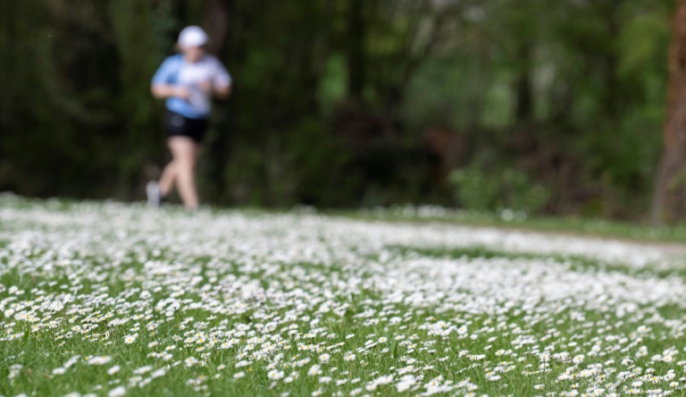 Menschen in Deutschland machen täglich halbe Stunde Sport