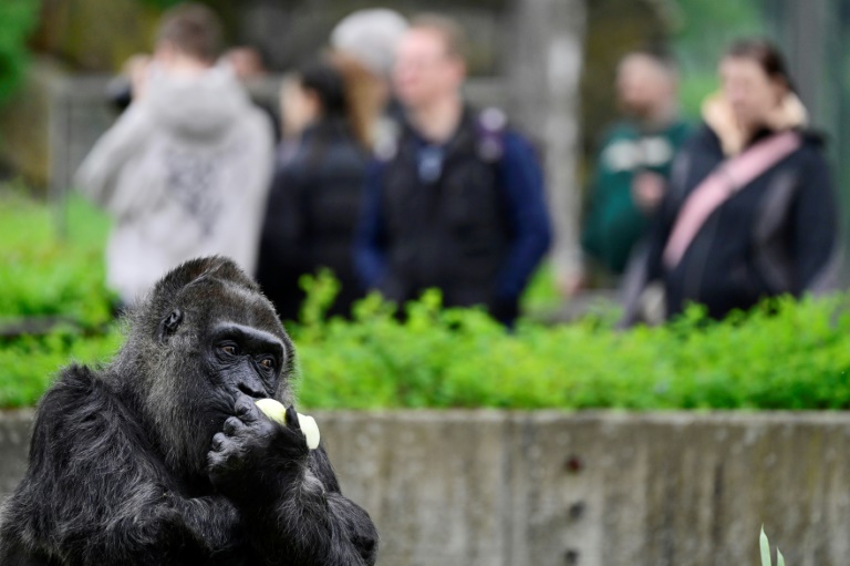 Zoos wollen Besucher intensiver für Naturschutz begeistern