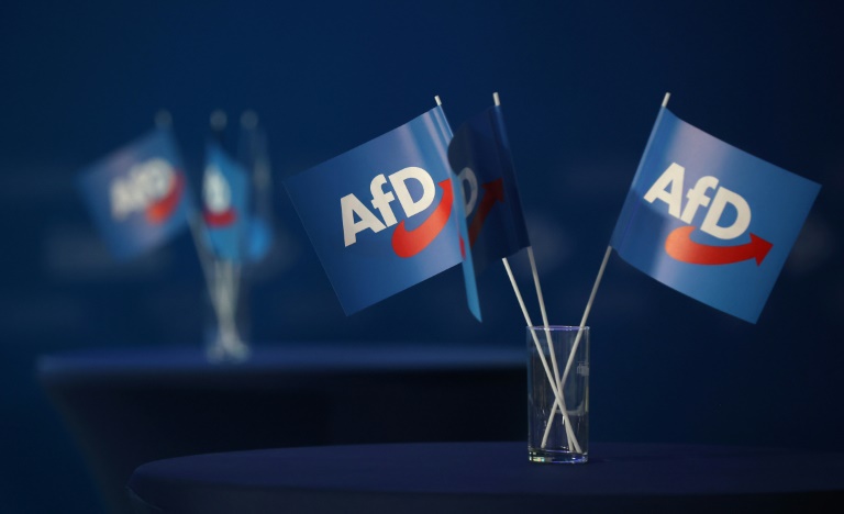 Streit um Kommunalwahl: Rücktrittsforderung aus Thüringer AfD an Höcke