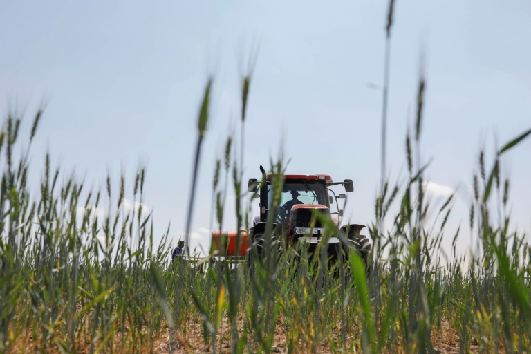 Einkommen und Betriebsgewinne von Landwirten steigen deutlich