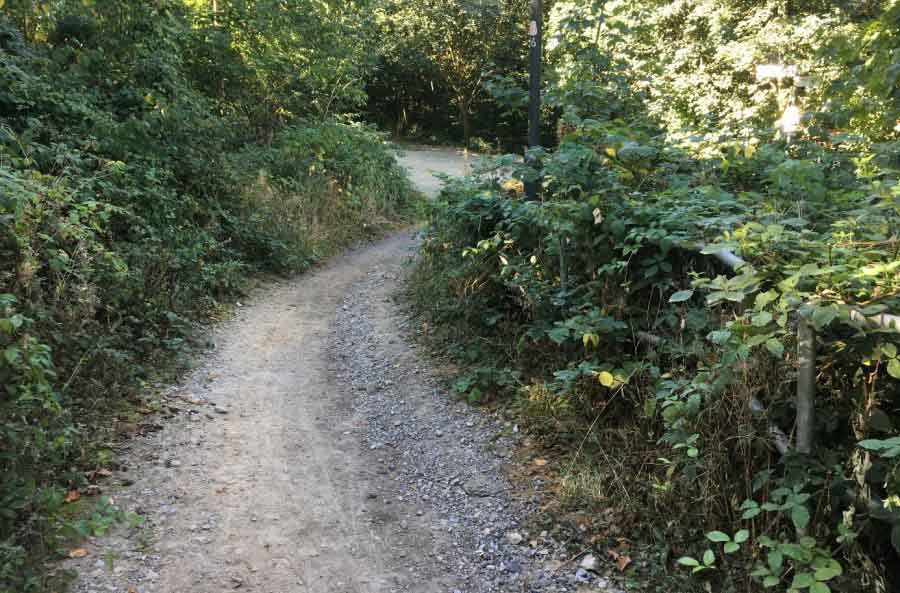 Verbesserung der Wegeverbindung im Essener Kesselbachtal