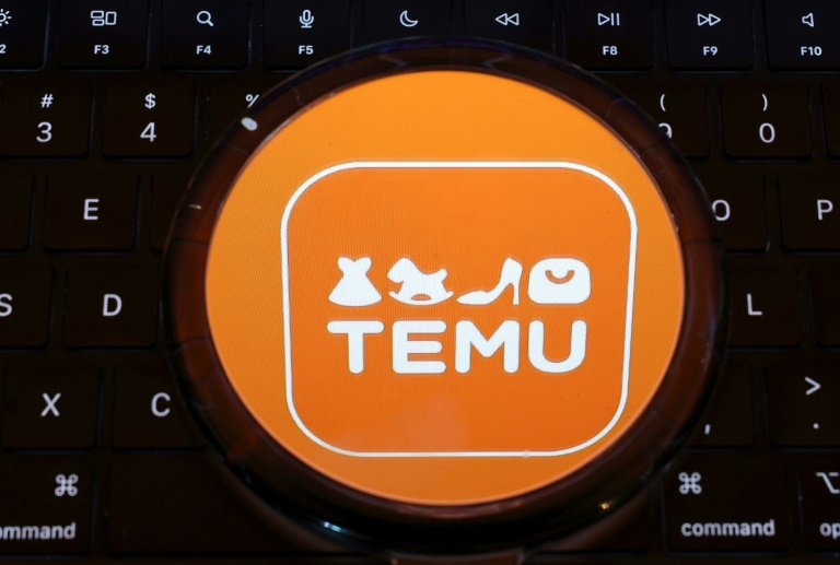 Experte rät zu Regulierung statt Verbot von Online-Händler Temu