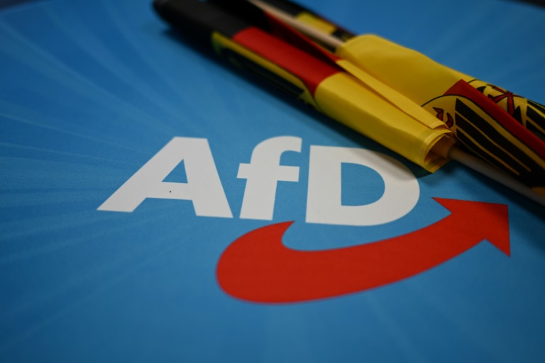 AfD im "Politbarometer" erstmals seit November 2023 wieder mit leichtem Zugewinn