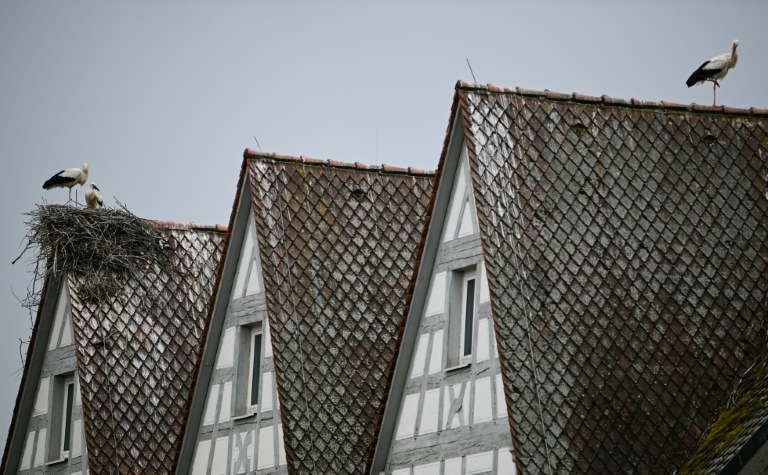 Fotograf selbst hineingelassen: Kein Schadensersatz für Mieter wegen Maklerbildern