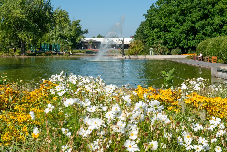 Grugapark Essen