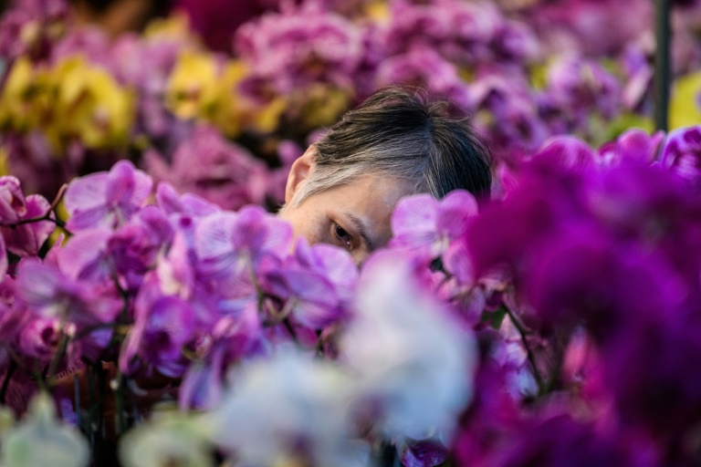 Mehr Lohn für Floristinnen und Floristen - aber nur in Westdeutschland