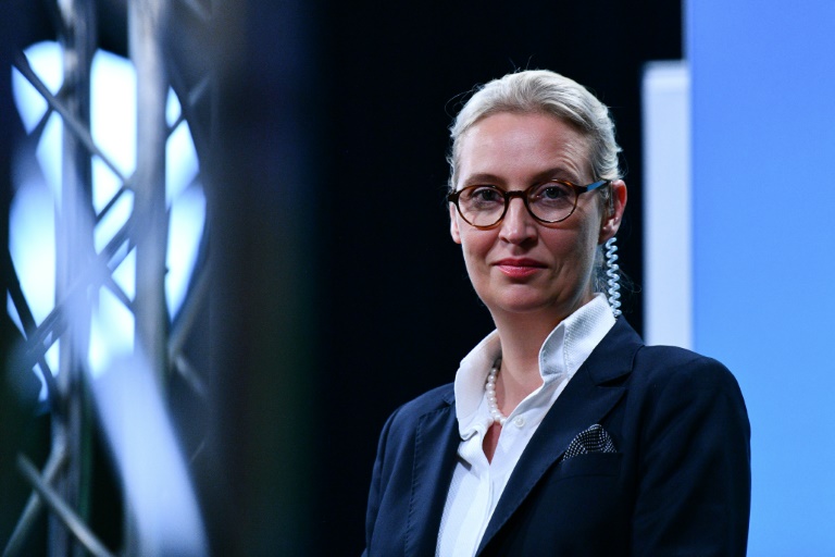 AfD-Chefin Weidel macht CDU im Osten Koalitionsangebot