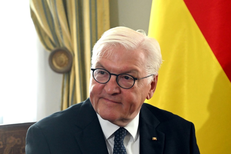 Steinmeier hofft auf greifbare Ergebnisse der Gespräche von Scholz und Merz