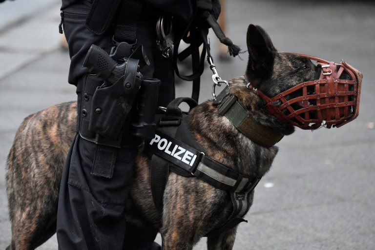 Bei privatem Empfang in Rheinland-Pfalz: Polizeihund verletzt zweimonatiges Baby