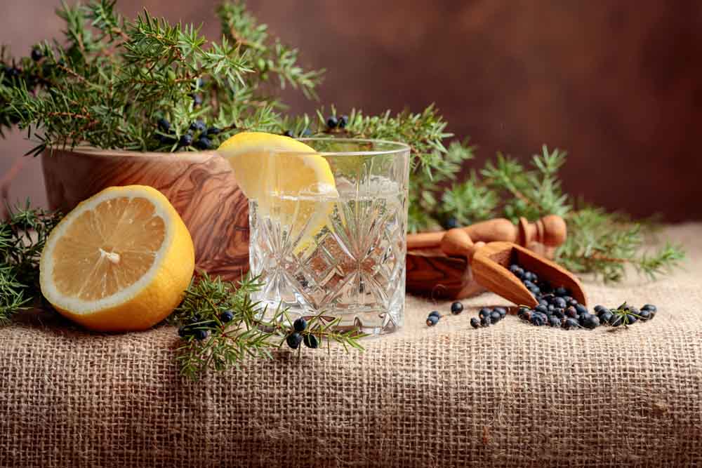 Gin Tasting im Kreiskulturzentrum Sinsteden