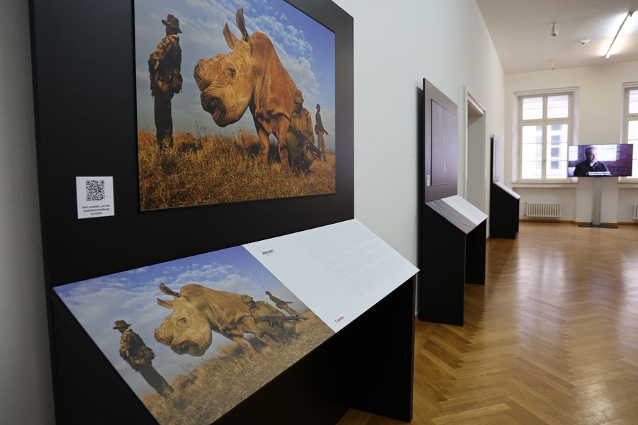 Ausstellung "World Unseen" im Stadtmuseum Düsseldorf