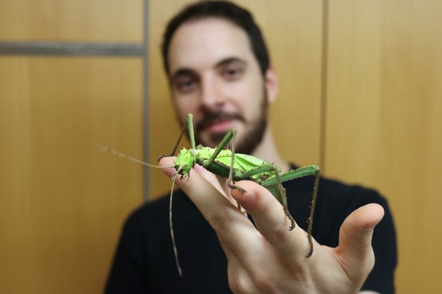 Workshops zu Insekten im Aquazoo Düsseldorf